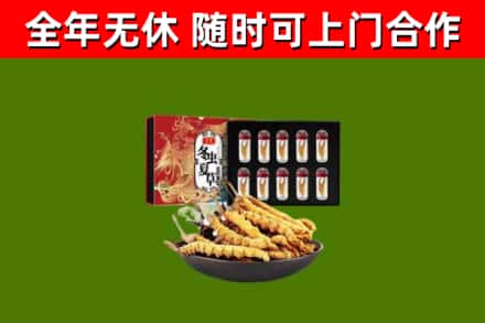 南溪烟酒回收冬虫夏草礼盒.jpg