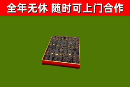 南溪回收海参